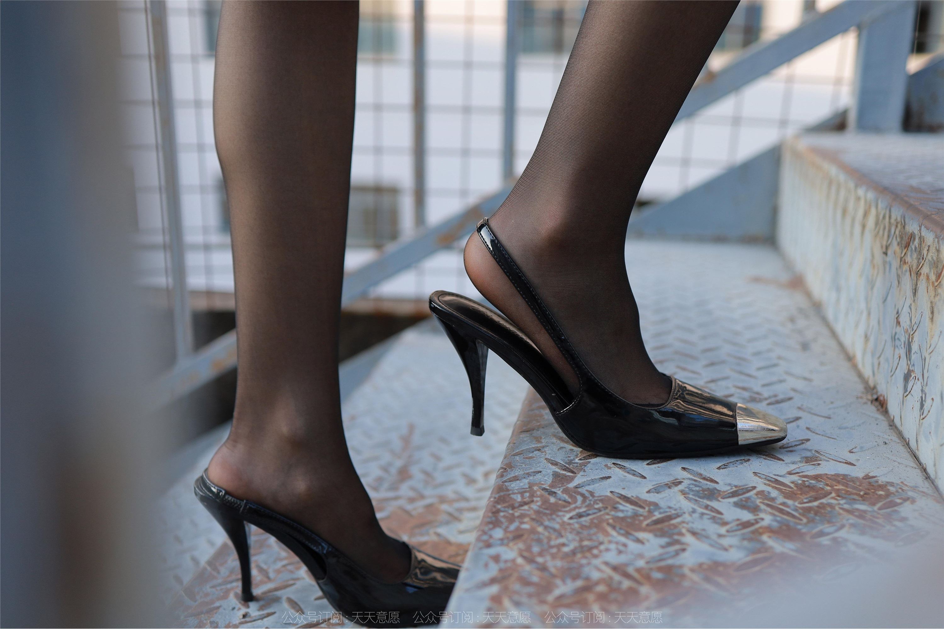 IESS异思趣向  2022.11.19 丝享家 1273 小金《窈窕淑女》